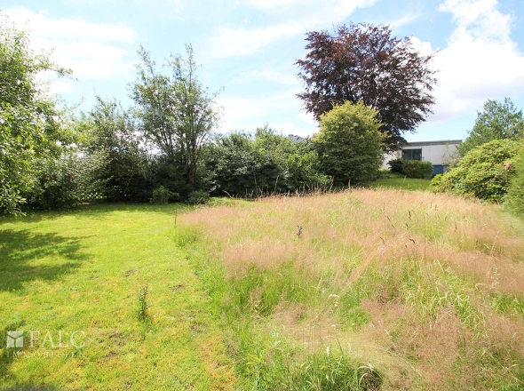 Garten ( mit KI optimiert)
