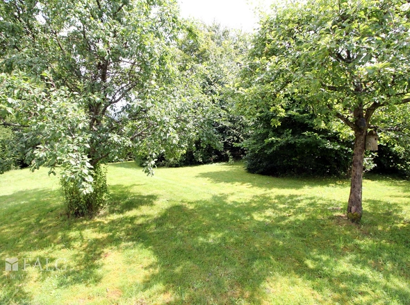 Garten ( mit KI optimiert)