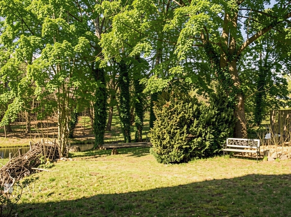 Garten I