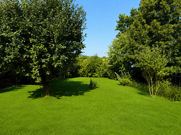 image00007