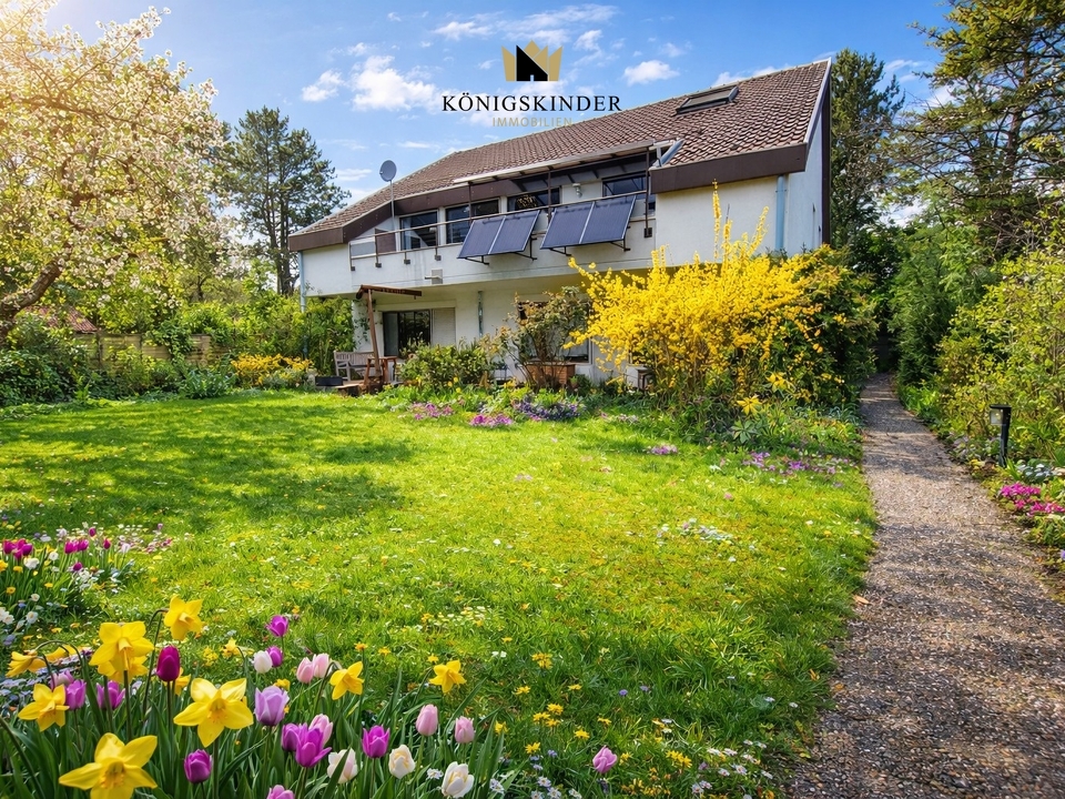 Real Estate Title Image Background