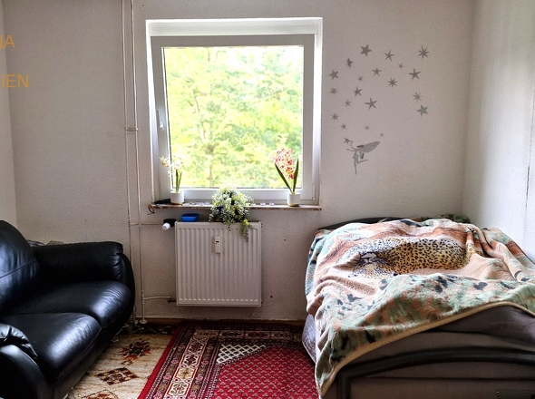 Zimmer_1