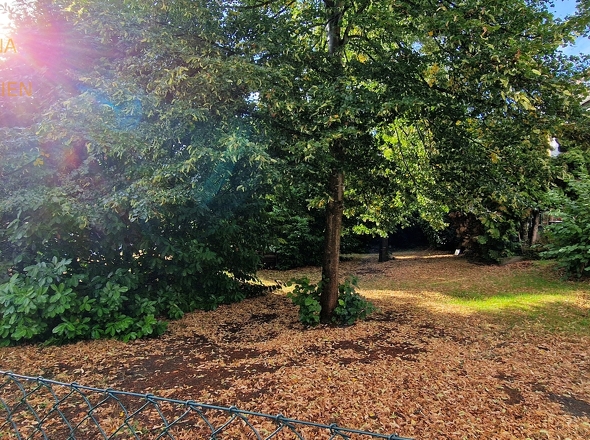 Gemeinschaftsgarten