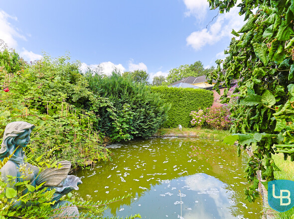 Gartenteich