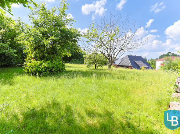 Garten auf dem Hang