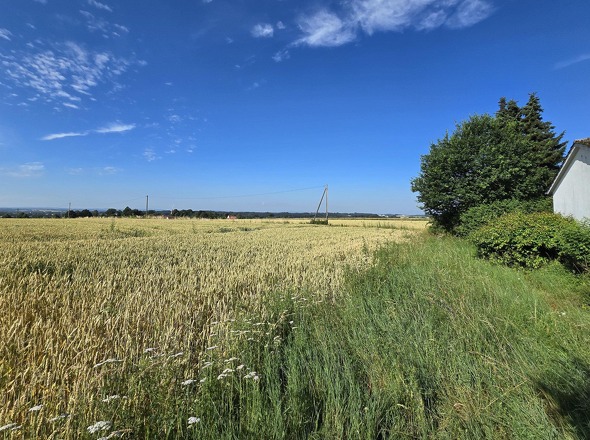 Ausblick