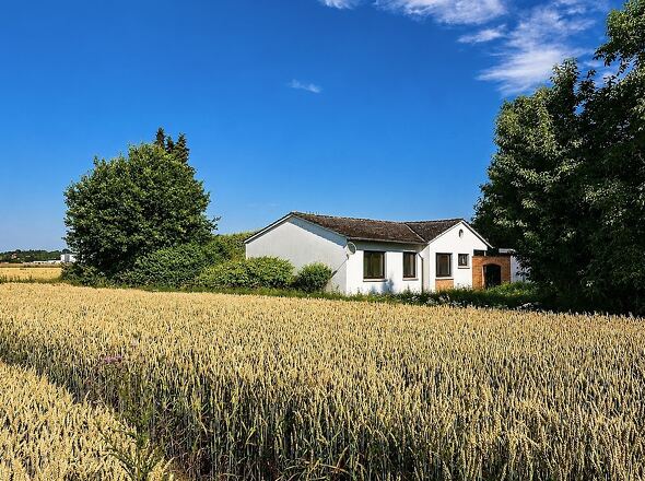 Ansicht vom Feld