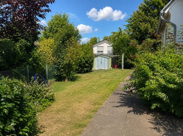 Blick in den Garten