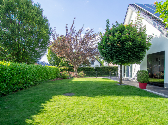 11160 Garten (1)