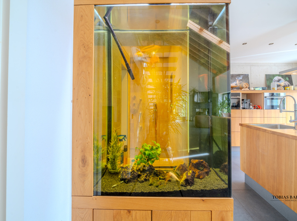 Aquarium