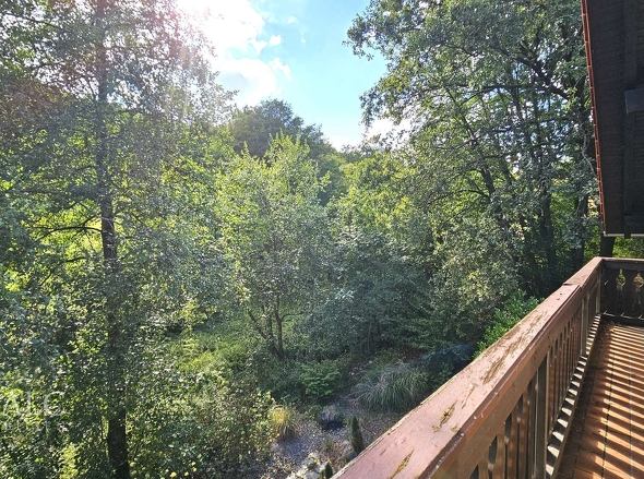 Balkon mit Waldblick OG