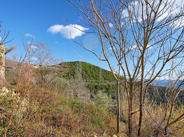 Das Steinhaus befindet sich in zauberhafter Idylle