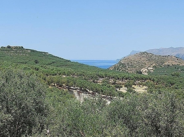 Aussicht