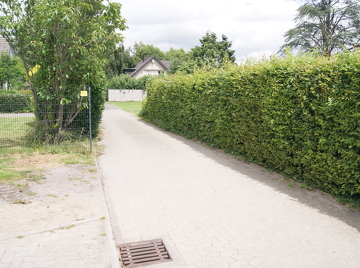 DSC01833