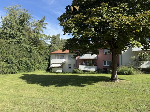 Rückseite