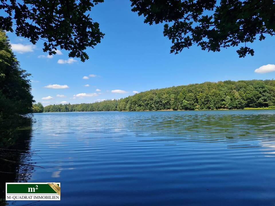Real Estate Title Image Background