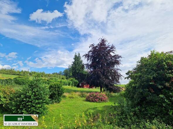 Blick vor dem Haus