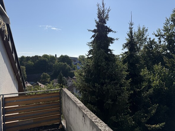Aussicht vom Balkon DG