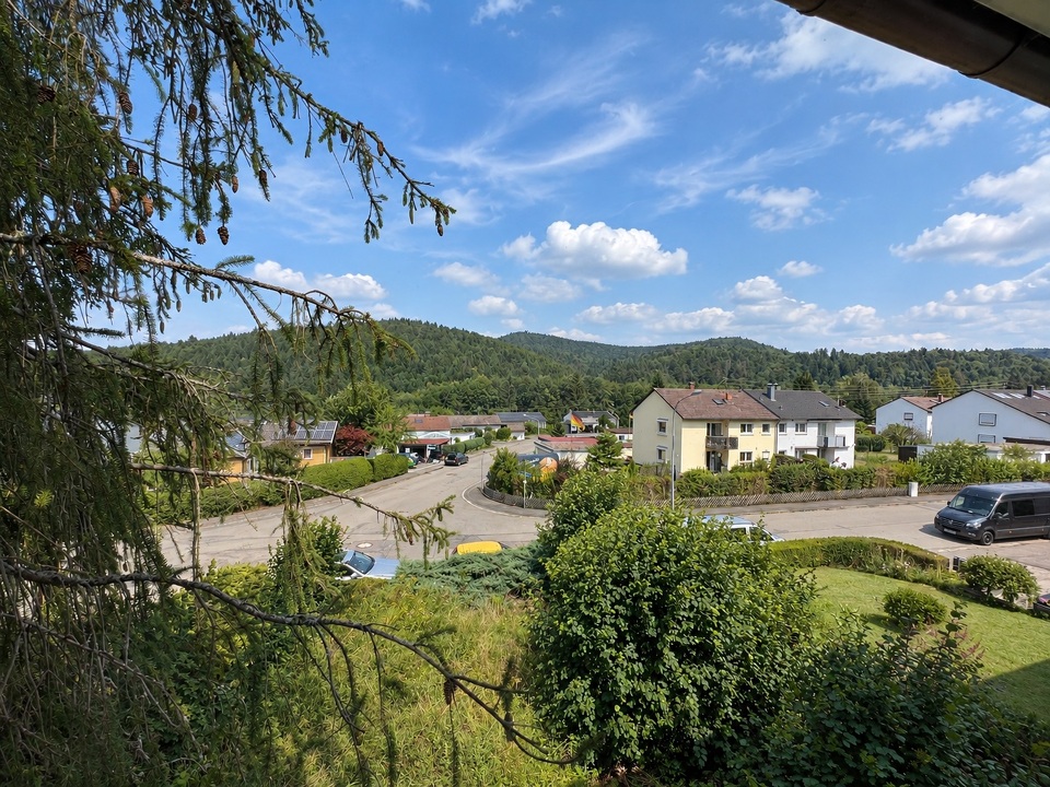 Aussicht zur Straße