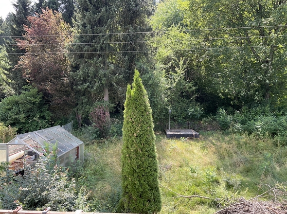 Garten 2