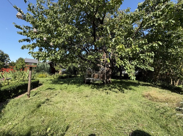 Garten mit reichlich Obstbestand!