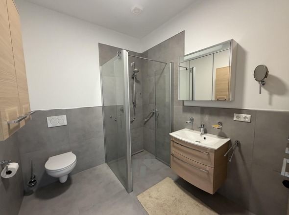 Modernes Duschbad Apartment 2