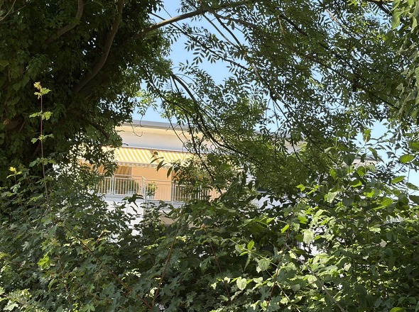 Sichtgeschützt von der Straße