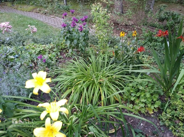 Garten