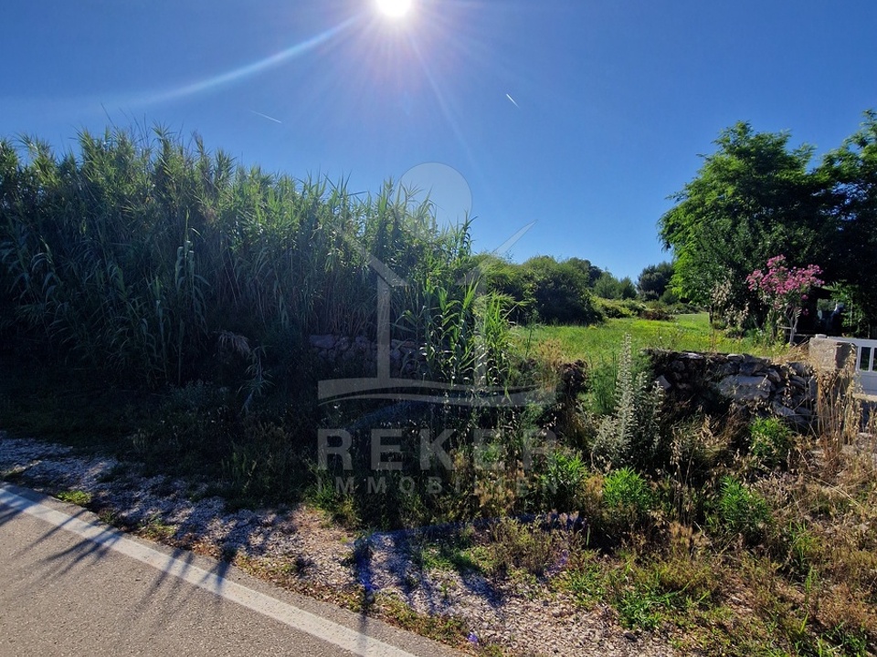 Ein Stück Paradies auf der Insel Vir