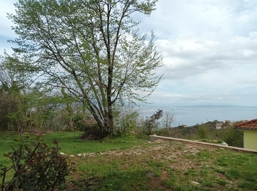 Idylle in Bregi - Entdecken Sie Kroatien!