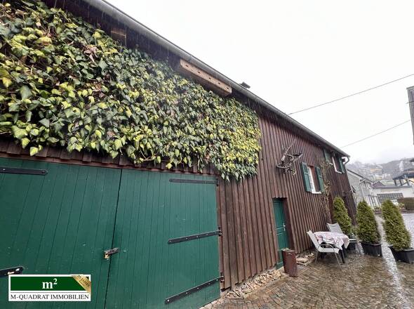 Seitlicher Blick_Garage
