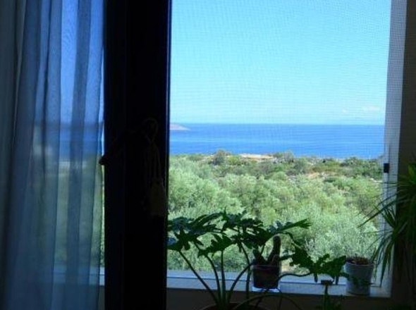 Aussicht