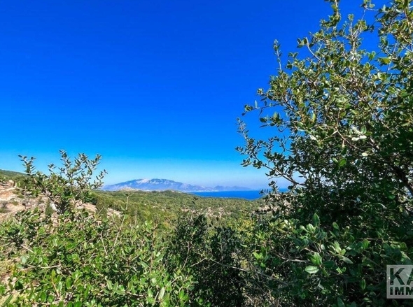 Aussicht