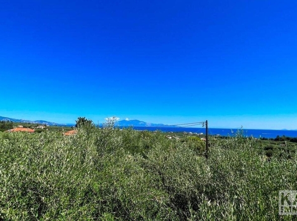 Aussicht