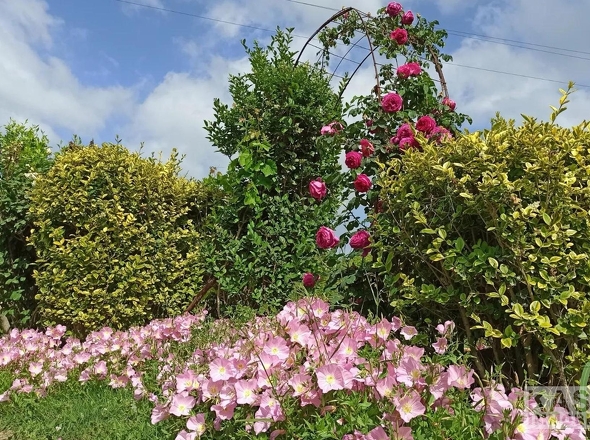 Garten