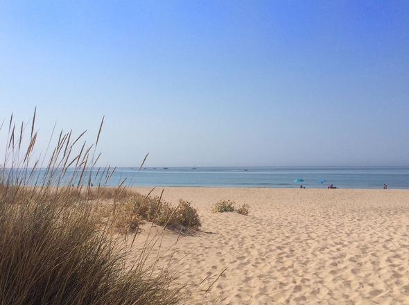 Meia Praia