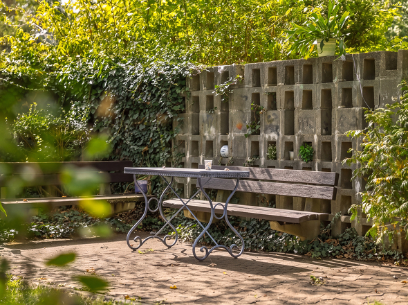 Gemeinschaftsgarten