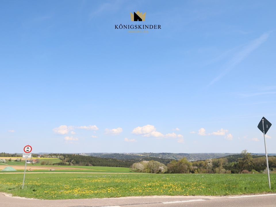 Real Estate Title Image Background