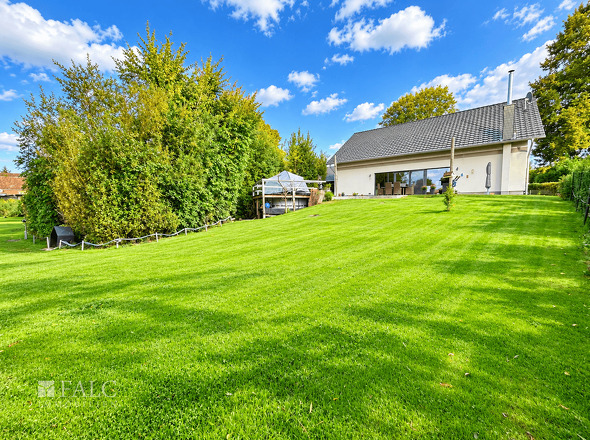Garten und Ansicht von hinten