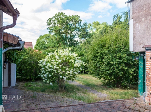 Garten aktuell
