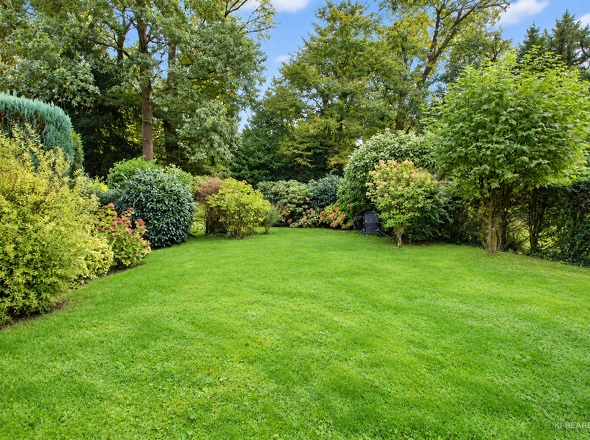 Garten mit Baumbestand