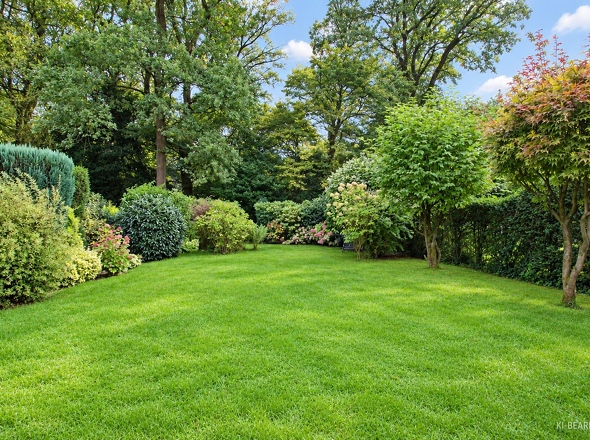 Weitläufiger Gartenblick