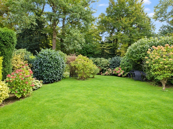 Eingewachsener Garten