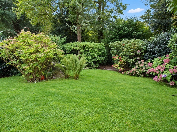 Grüner Gartenbereich